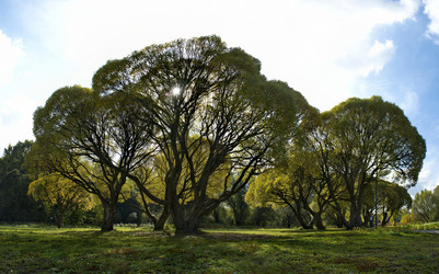 Similar image 21661538