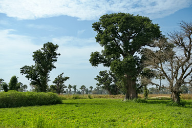 Similar image 21661541