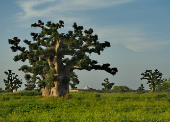 Similar image 21661542