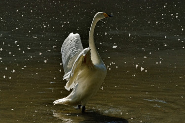 Similar image 21661543