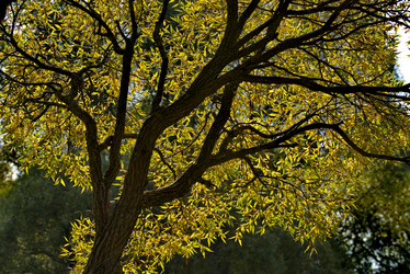 Similar image 21661546