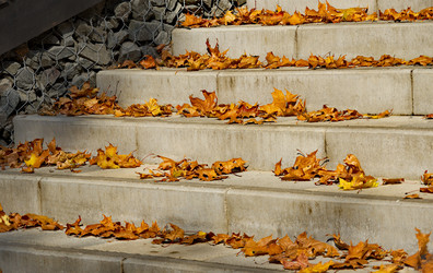 Similar image 21661548