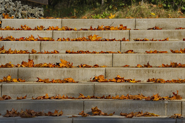 Similar image 21661550