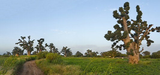 Similar image 21661551