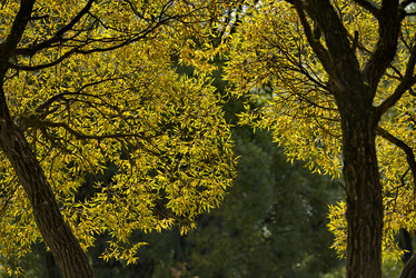 Similar image 21661554