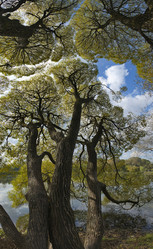 Similar image 21661558