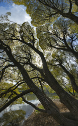 Similar image 21661560