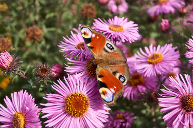 Similar image 21660274