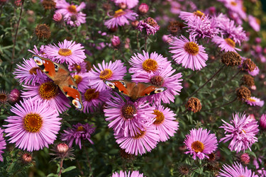 Similar image 21660277