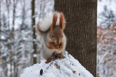 Similar image 21660278