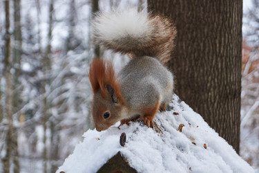 Similar image 21660280