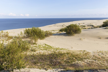 Similar image 21662610