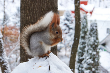 Similar image 21660281