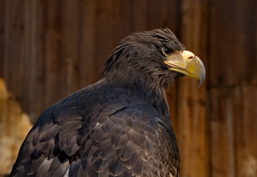 Similar image 21661564