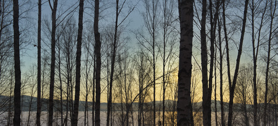 Similar image 21661565