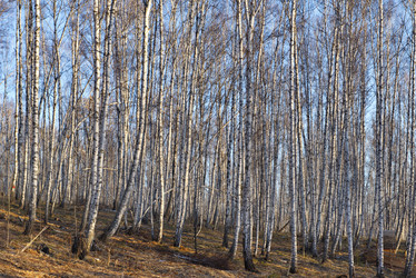 Similar image 21661567