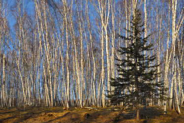 Similar image 21661568