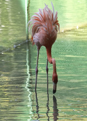 Similar image 21661569