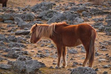 Similar image 21661571