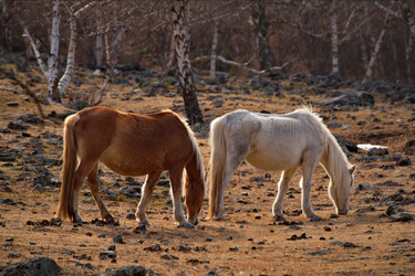 Similar image 21661573