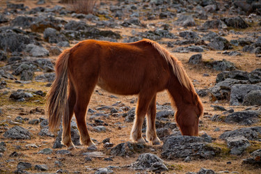 Similar image 21661574