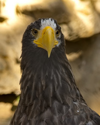 Similar image 21661575