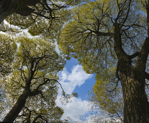 Similar image 21661577