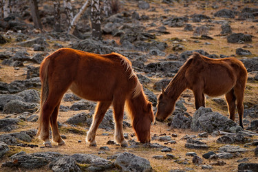 Similar image 21661578