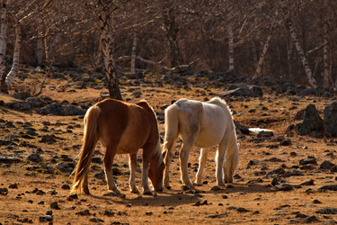 Similar image 21661579