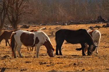 Similar image 21661580