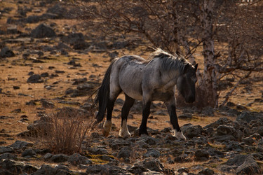 Similar image 21661581