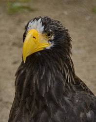 Similar image 21661582