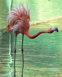 Similar image 21661584