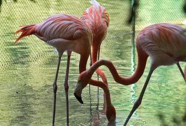 Similar image 21661586