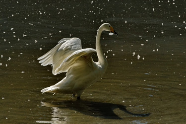 Similar image 21661587