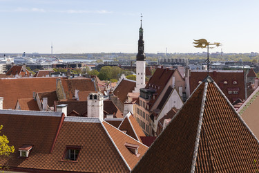 Similar image 21662807