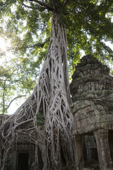 Similar image 21662365