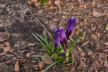 Similar image 21660298