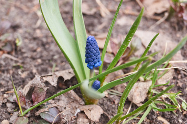 Similar image 21660301