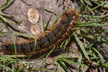 Similar image 21660303