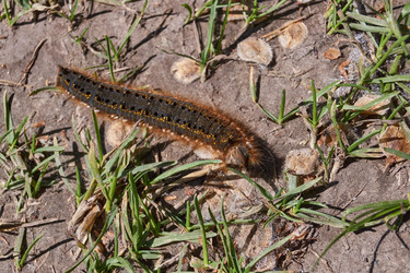 Similar image 21660304