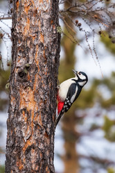 Similar image 21660465