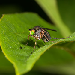 Similar image 21660473