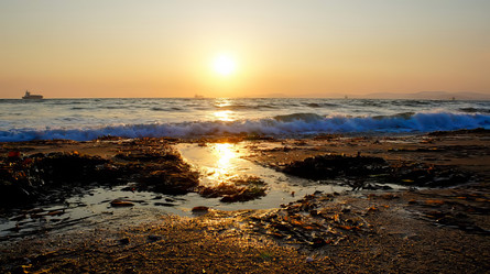 Similar image 21661002