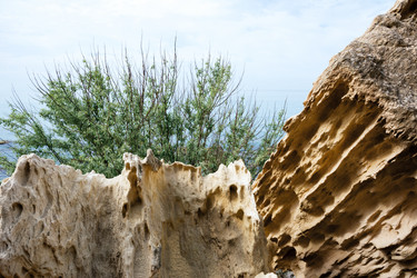 Similar image 21660480