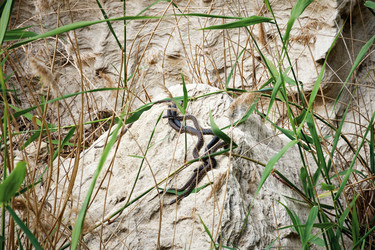 Similar image 21660482