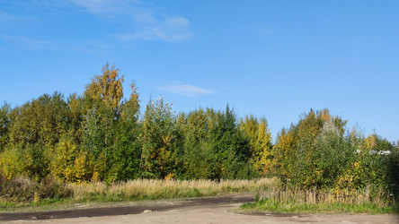 Similar image 21661598