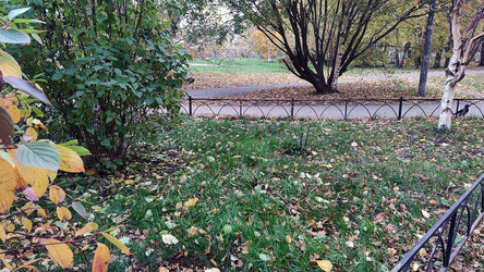 Similar image 21661613