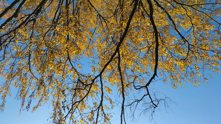 Similar image 21661634