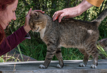 Similar image 21660543